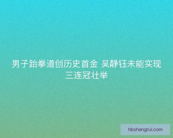 男子跆拳道创历史首金 吴静钰未能实现三连冠壮举