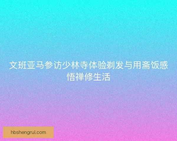 文班亚马参访少林寺体验剃发与用斋饭感悟禅修生活