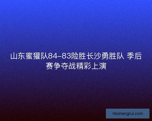 山东蜜獾队84-83险胜长沙勇胜队 季后赛争夺战精彩上演