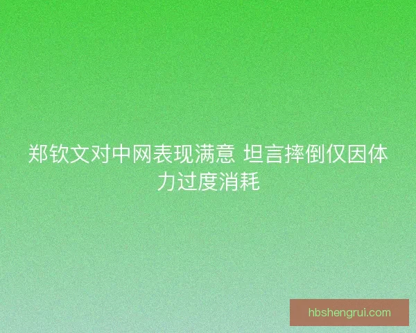 郑钦文对中网表现满意 坦言摔倒仅因体力过度消耗